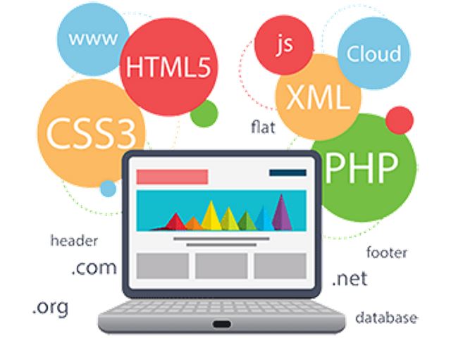 Web security audits